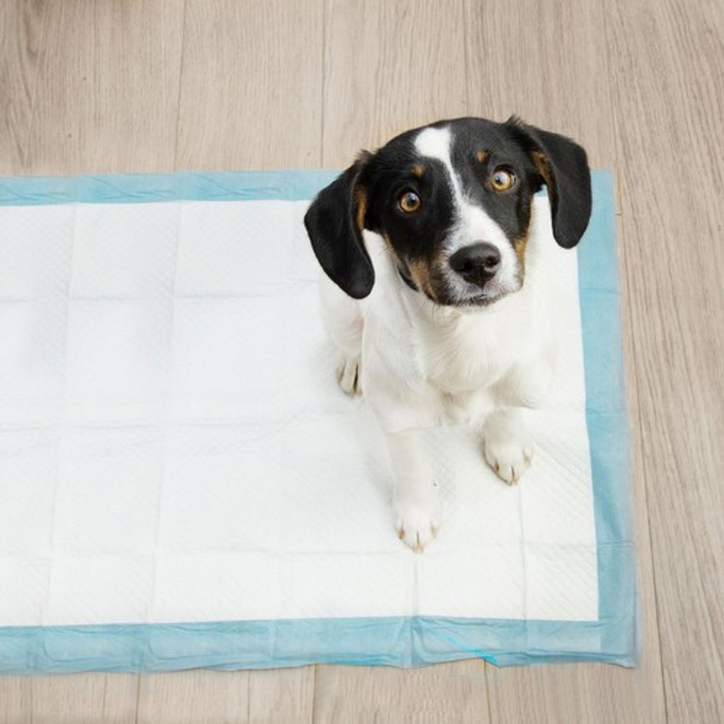 ND12_16712 Maandverband 60x40cm 100st Purlov 21599 5900779943131.