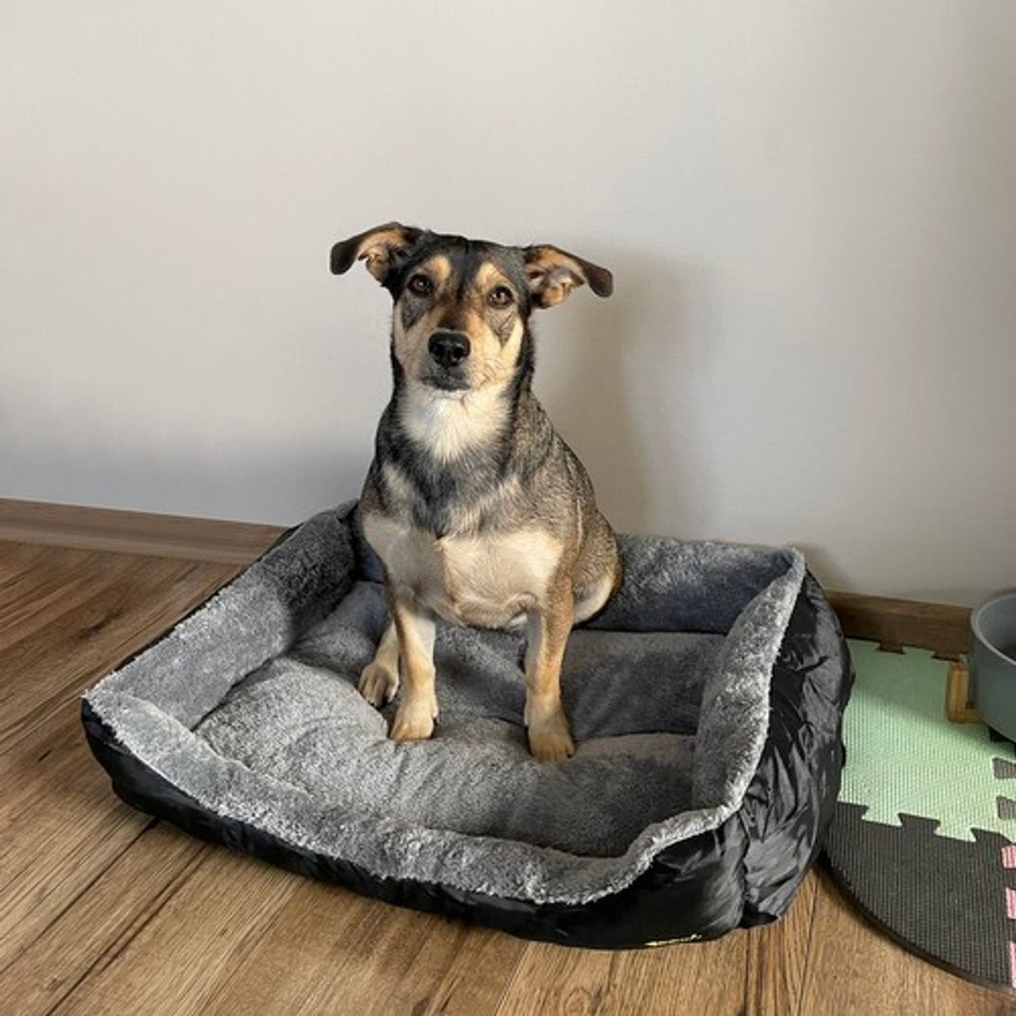 ND12_17920 Honden-/kattenbed 60x45cm Purlov 24288 5904665713525