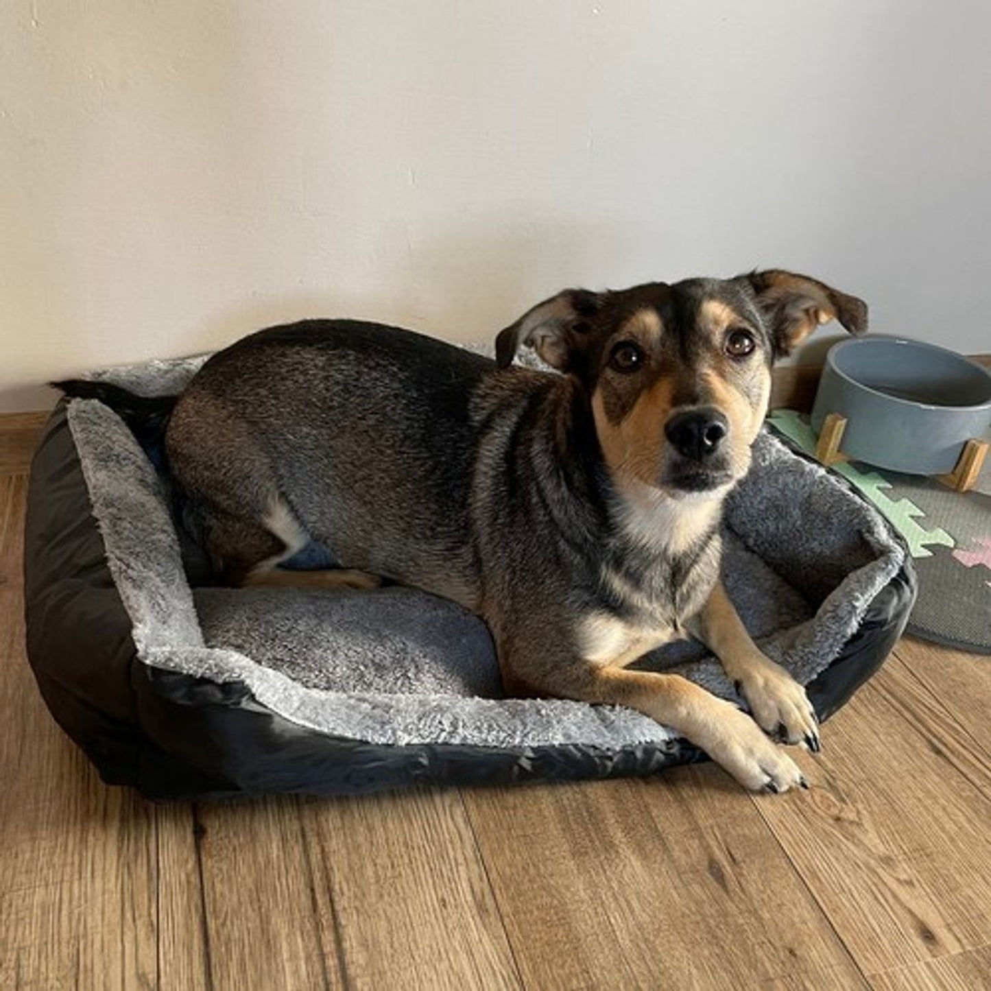 ND12_17920 Honden-/kattenbed 60x45cm Purlov 24288 5904665713525
