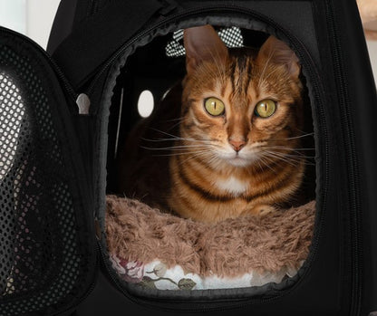 Transporter - honden-/kattentas - zwart